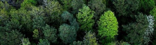 3M ogłasza wprowadzenie formalnego wymogu wspierania zrównoważonego rozwoju