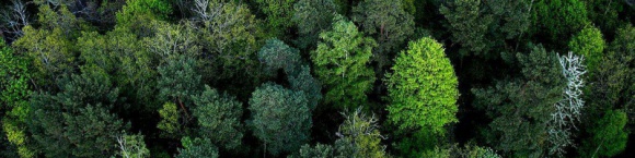 3M ogłasza wprowadzenie formalnego wymogu wspierania zrównoważonego rozwoju