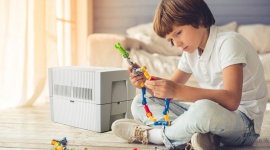 Jak chronić się przed smogiem? Dom, LIFESTYLE - Gdy nadchodzi jesień, w miastach oraz wzdłuż tras samochodowych w całej Polsce coraz częściej pojawia smog. Gdy przebywamy na zewnątrz, niewiele możemy zrobić. W samochodzie pomóc nam może fitr przeciwpyłkowy, w domu zaś ratunkiem mogą być rośliny i oczyszczacze powietrza.