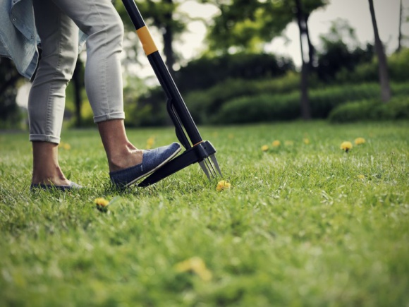 Jaki prezent dla Babci i Dziadka? – inspiracje ogrodowe Fiskars Dom, LIFESTYLE - Praca w ogrodzie to jedno z ulubionych zajęć naszych Dziadków i Babć. Jeśli zatem myślimy o prezencie z okazji zbliżającego się dnia Babci i Dziadka, warto rozważyć zakup wysokiej jakości narzędzia ogrodowego.