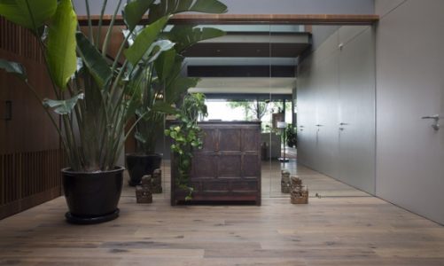 Parkiety otwarte na naturę