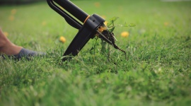Łatwo, szybko i ekologicznie – usuwanie chwastów z trawnika przy pomocy wyrywacz Dom, LIFESTYLE - Jak skutecznie usunąć chwasty z trawnika? - to częste pytanie osób mających przydomowe ogródki. Jeśli nie chcemy korzystać ze środków chemicznych, to warto zadbać o odpowiedni sprzęt, jak np. wyrywacz do chwastów marki Fiskars.