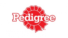 Czy mieszka z Tobą SuperPies? Zwierzęta, LIFESTYLE - Marka Pedigree®, we współpracy z ekspertami ds. żywienia zwierząt oraz lekarzami weterynarii, przygotowała kampanię edukacyjną dotyczą pięciu najważniejszych potrzeb psów „Podaruj psu supermoc”.