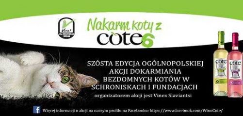 Jak połączyć relaks przy lampce wina z pomocą potrzebującym kotom?