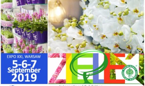 Natural Entry for million market. FLOWER EXPO POLAND 2019