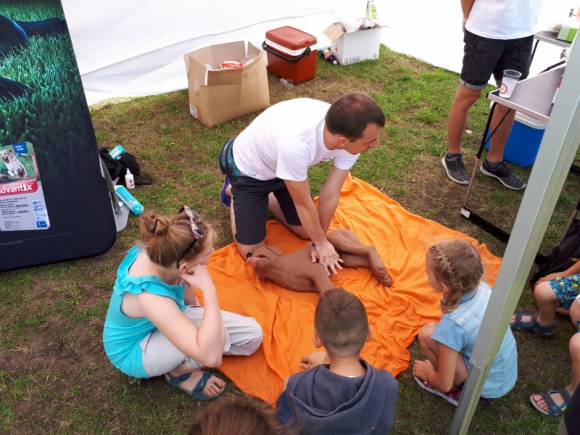 Bayer zaprasza na zawody „Latających Psów” i bezpłatne konsultacje weterynaryjne Zwierzęta, LIFESTYLE - „Dla nich grawitacja nie istnieje!” – to hasło zawodów „Latających Psów”, które już w najbliższy weekend odbędą się w Poznaniu.