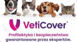 VetiCover. Bo zdrowie Twojego czworonoga jest najważniejsze Zwierzęta, LIFESTYLE - Masz psa lub kota? Dbasz o zdrowie pupila i jakość jego życia? Pakiet profilaktyczny dla zwierząt VetiCover to rozwiązanie dla Ciebie.