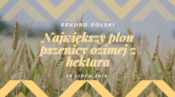 PROCAM Polska Sp. z o.o. idzie na Rekord Polski w plonie pszenicy ozimej Rolnictwo, BIZNES - Z okazji 15-lecia firmy PROCAM Polska Sp. Z. o. o., już 25 lipca 2019 roku w miejscowości Stary Dzierzgoń odbędzie się próba ustanowienia Rekordu Polski na największy plon pszenicy ozimej z hektara