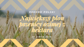 PROCAM Polska Sp. z o.o. idzie na Rekord Polski w plonie pszenicy ozimej