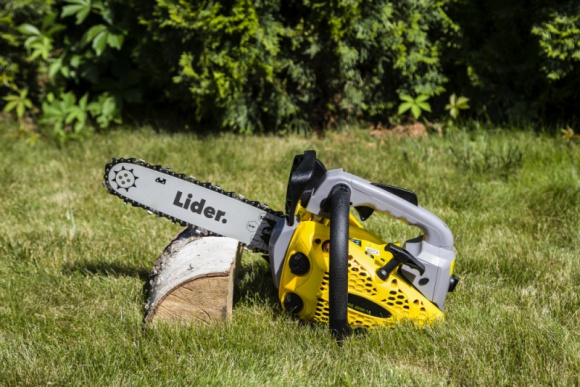 Cięcie drzew owocowych - najważniejsze zasady Dom, LIFESTYLE - Cięcie drzew owocowych powinno należeć do stałych zadań wpisanych do kalendarza każdego właściciela ogrodu lub sadu. Przeprowadzane regularnie zapewni zdrowy wzrost roślin, a co za tym idzie - obfite plony. O czym warto pamiętać, przeprowadzając ten zabieg?