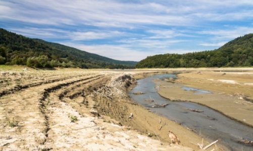 Polska pustynnieje a długotrwałe susze stały się już niemalże normą