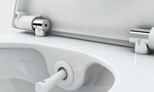 Czym kierować się przy wyborze toalety myjącej?