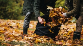 Kosz Ergo Pop-up w 5 odsłonach Dom, LIFESTYLE - Nowy kosz Ergo Pop-up marki Fiskars to wielofunkcyjny produkt, który znajdzie zastosowanie w bardzo różnych sytuacjach w naszych domach. Czym wyróżnia się ten produkt?
