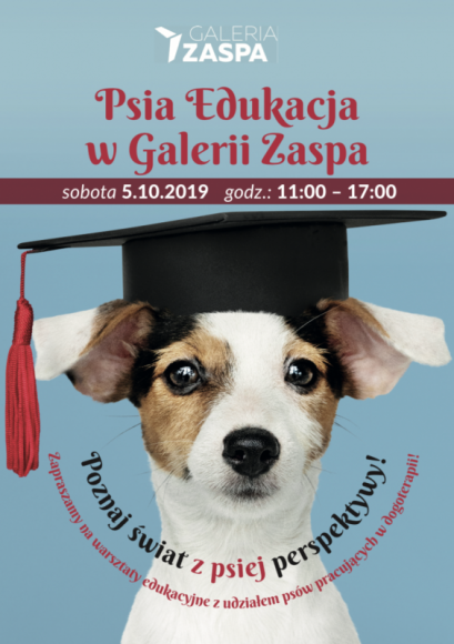 Galeria Zaspa i Psia Edukacja Zwierzęta, LIFESTYLE - Są wdzięczne, kudłate i bardzo kochane. To często nasi najlepsi przyjaciele – psiaki. Bywa jednak, że część z nas się ich boi lub nie wie, w jaki sposób zachować się w ich towarzystwie. Dlatego warto wziąć udział w rodzinnych warsztatach „Psia Edukacja”.
