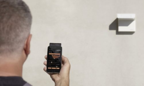 Czujni przyjaciele naszego domu