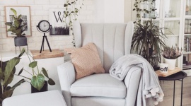 Nowe fotele w ofercie Gala Collezione Dom, LIFESTYLE - Jeśli myślicie o zmianach w salonie i odświeżeniu jego aranżacji, ale dysponujecie ograniczonym budżetem, możecie zrobić to szybko i prosto, bez konieczności przeprowadzania dużych remontów i inwestowania wielkich funduszy.