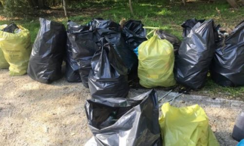 Trash Challenge – wrocławska firma podnosi rękawiczkę