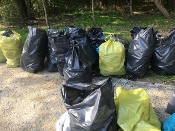 Trash Challenge – wrocławska firma podnosi rękawiczkę BIZNES, Ochrona środowiska - W dobie kryzysu klimatycznego powstała inicjatywa społeczna, która jest nową wersją powszechnie znanego „sprzątania świata”. Zasady #trashchallenge są bardzo proste – wystarczy wziąć sprawy (dosłownie) w swoje ręce.