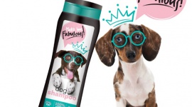W TROSCE O PUPILA – PET SHAMPOO Zwierzęta, LIFESTYLE - Kochamy naszych czworonożnych przyjaciół i chcemy o nich odpowiednio zadbać. Od czasu do czasu musimy także ich wykąpać. Polska marka Barwa wprowadziła na rynek linię Pet Shampoo – szampony dla psów i kotów, które sprawią, że twój pupil będzie szczęśliwy i zadbany.