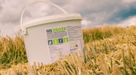 JAK PRZYGOTOWAĆ ROŚLINY NA ZIMĘ, BY WIOSNĄ CIESZYĆ SIĘ PIĘKNYMI PLONAMI? Rolnictwo, BIZNES - Choć zbiory roślin okopowych czy kukurydzy oraz uprawki przedsiewne są już zakończone, nie oznacza to końca pracy. Jeszcze przed zimą należy odpowiednio zadbać o pole, by na wiosnę cieszyć się pięknymi i zdrowymi plonami