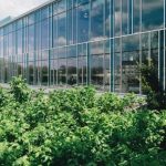 Ekologiczne trendy w architekturze i designie na rok 2020