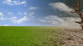 Deficyt wody coraz bardziej dotkliwy – alarmujące dane BIZNES, Ochrona środowiska - Polska, choć leży w umiarkowanej strefie klimatycznej, nie jest krajem zasobnym w wodę. Dodatkowo, po rekordowo ubogim w opady styczniu 2020 r., można spodziewać się znacznych problemów w cieplejszych miesiącach – szczególnie latem należy być przygotowanym na suszę.