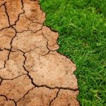 Światowy Dzień Ziemi. Każdy z nas może zadbać o środowisko naturalne
