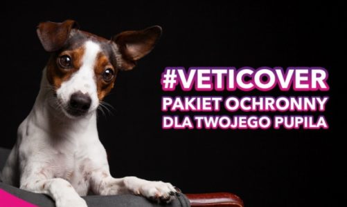 VetiCover – pakiety dla psów i kotów.