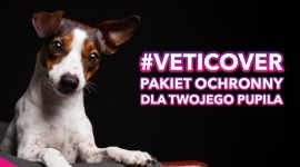 VetiCover – pakiety dla psów i kotów. Zwierzęta, LIFESTYLE - Profilaktyka i bezpieczeństwo w jednym za 1 zł dziennie!