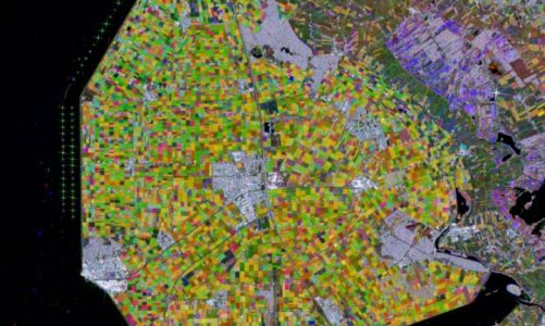 Sen4CAP – nowe rozwiązanie na CREODIAS.EU dla wsparcia monitoringu upraw