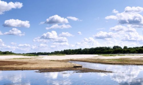 Susza zagraża nam wszystkim. Sprawdź, jak oszczędzać wodę i pieniądze