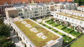 Bądź eko na własnym dachu Dom, LIFESTYLE - W wielu miastach duży nacisk kładzie się ostatnio na tworzenie łąk kwietnych zamiast tradycyjnych trawników oraz wprowadzanie roślinności na placach czy terenach rekreacyjnych. Miejscem, do którego możemy „zaprosić” naturę, jest nie tylko teren wokół domu, ale i dach budynku.