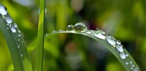 Program „Moja Woda” okazją do stosowania polskich zielonych technologii