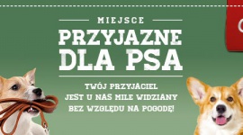 Shopping na czterech łapach – z psem i kotem zrobisz zakupy w CH Osowa