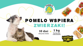 PO RAZ PIERWSZY STARTUJE AKCJA “POMELO WSPIERA ZWIERZAKI” Zwierzęta, LIFESTYLE - W 2018 roku w schroniskach w Polsce przebywało 107 325 psów oraz 29 326 kotów. Chcąc im pomóc, catering dietetyczny Pomelo, we współpracy z Fundacją Sarigato zorganizował akcję “Pomelo wspiera zwierzaki”, w ramach której przekaże nawet tonę pełnowartościowej karmy.
