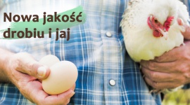 „Bezpieczne z Natury” – gwarancja najwyższej jakości drobiu i jaj Rolnictwo, BIZNES - Polska należy do krajów o największym spożyciu drobiu w Unii Europejskiej.