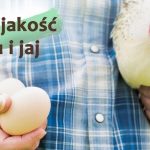 „Bezpieczne z Natury” – gwarancja najwyższej jakości drobiu i jaj