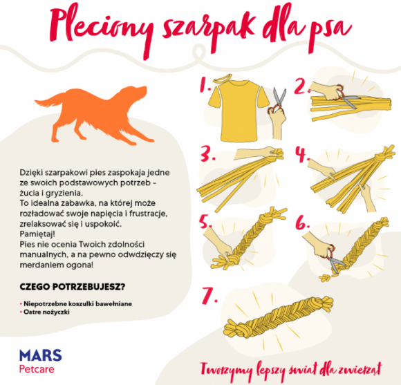 Niech każdy dzień będzie świętem zwierząt! Zwierzęta, LIFESTYLE - Zwierzęta domowe, z którymi dzielimy nasze życie, odwdzięczają się nam bezgraniczną miłością i oddaniem. Dzięki nim - jak wskazują badania - jesteśmy zdrowsi i szczęśliwsi.