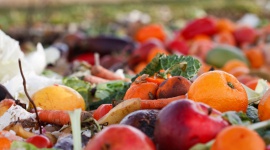 Realna szansa na ograniczenie skali marnowania żywności? BIZNES, Ochrona środowiska - Już niedługo oczekiwane wyniki fazy badawczej projektu PROM