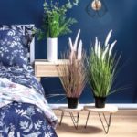 Zainspiruj się naturą i stwórz stylowe wnętrze z Netto