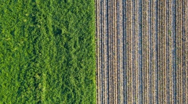 Zmiany na rynku biomasy BIZNES, Ochrona środowiska - Według najnowszych danych opublikowanych przez Europejską Radę Pelletu, w 2019 roku popyt na pellet wzrósł w Europie o 7% (1,8 mln ton) w porównaniu do 2018 roku